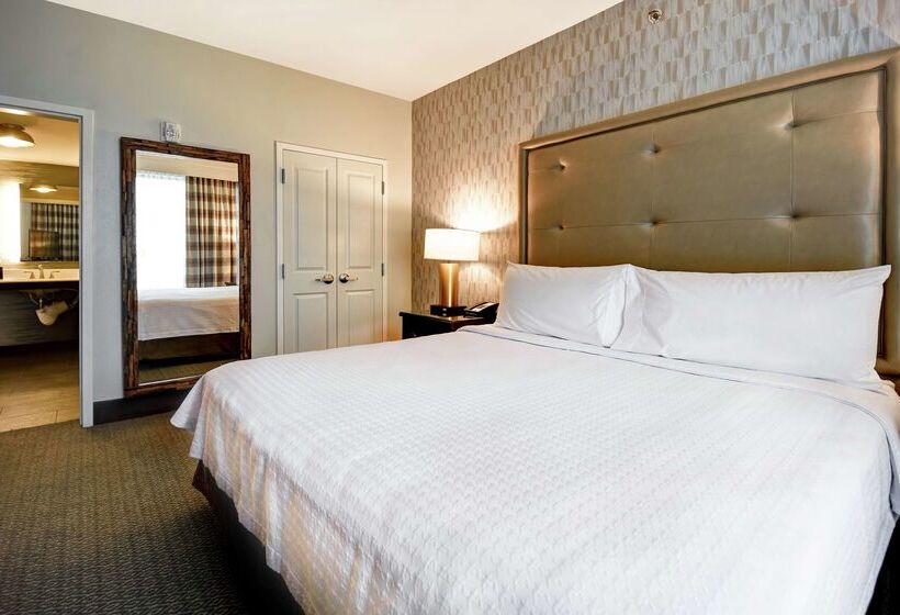ホテル Homewood Suites By Hilton Dallas Arlington South