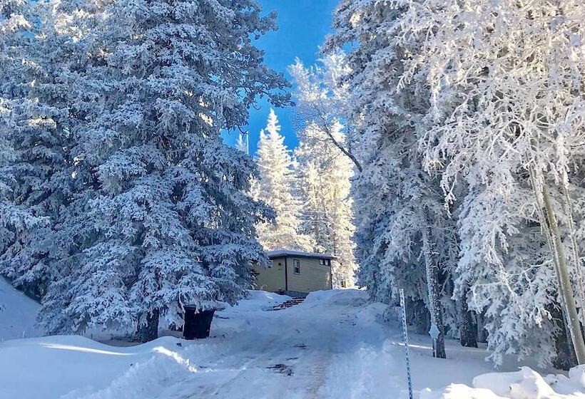 Scenic Lead Cabin: Steps To Terry Peak Ski Area!