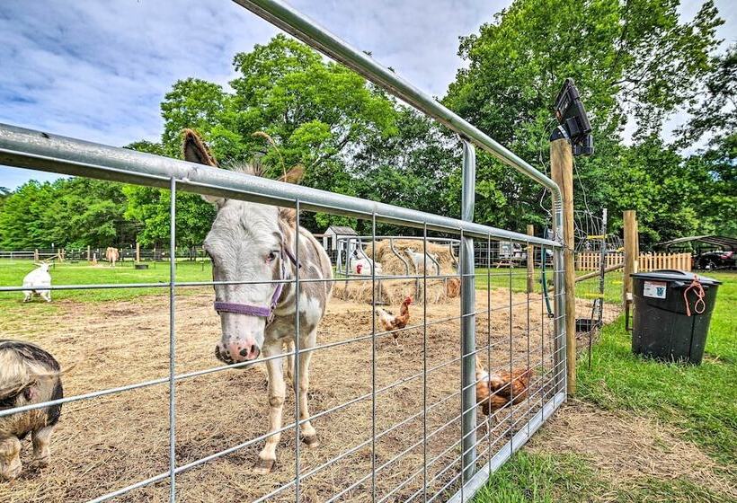 Stunning Sumter Home On Active 330 Acre Farm!