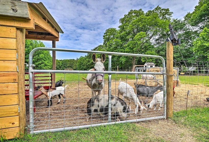 Stunning Sumter Home On Active 330 Acre Farm!