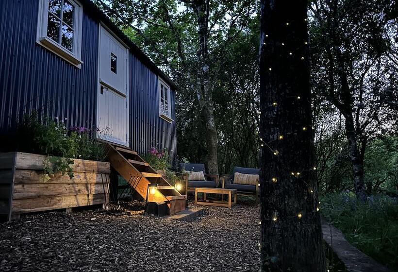Cornwall Woodland Dog Friendly Shepherd S Hut