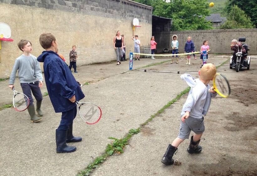 Cosy Stone Cottage On Llanllwni Mountain