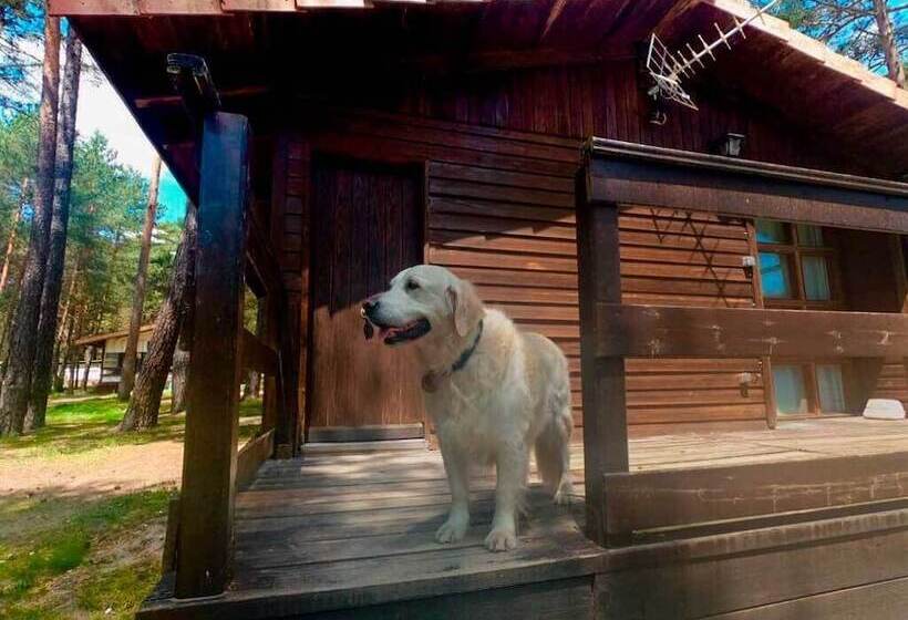 בית מלון כפרי Camping Urbión