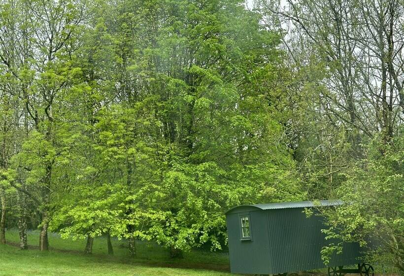 住所  Cornwall Woodland Dog Friendly Shepherd S Hut