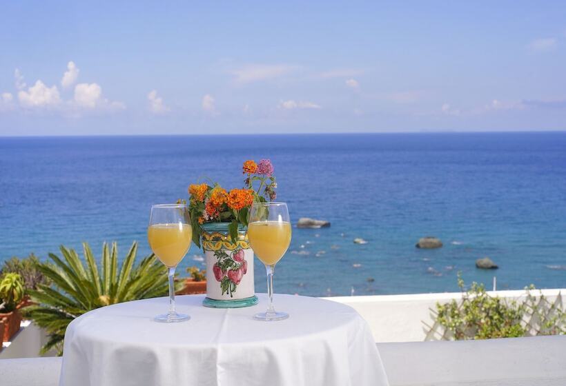Room In B&b   Ischia Forio For 2, Thermal Water And Sea  Imperamare