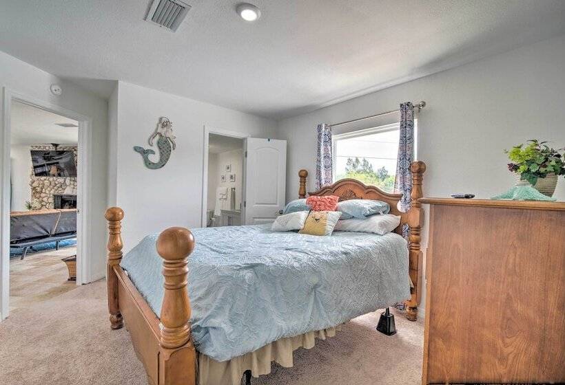 Newly Remodeled Gem On Homosassa River Canal!