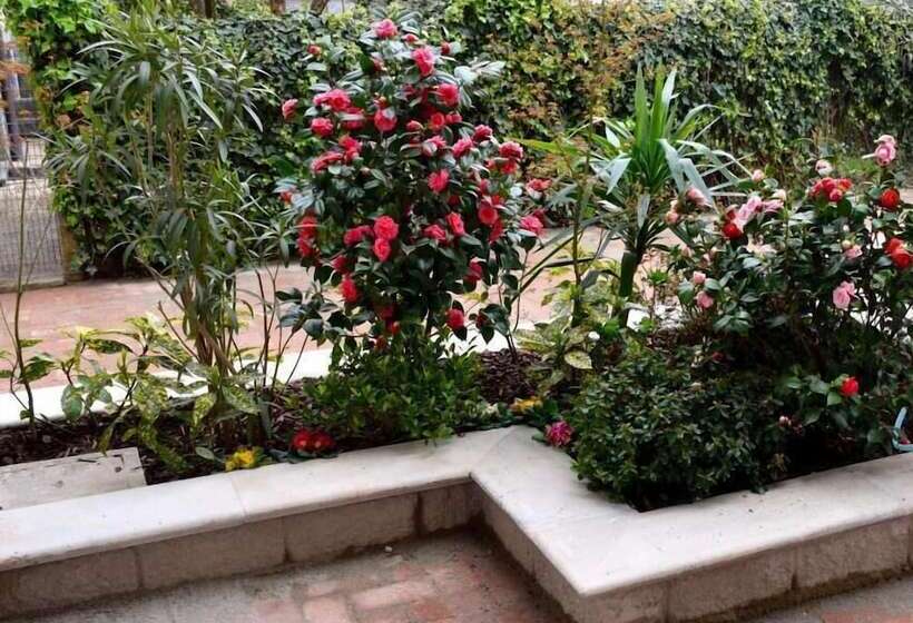 B&b Leonardo