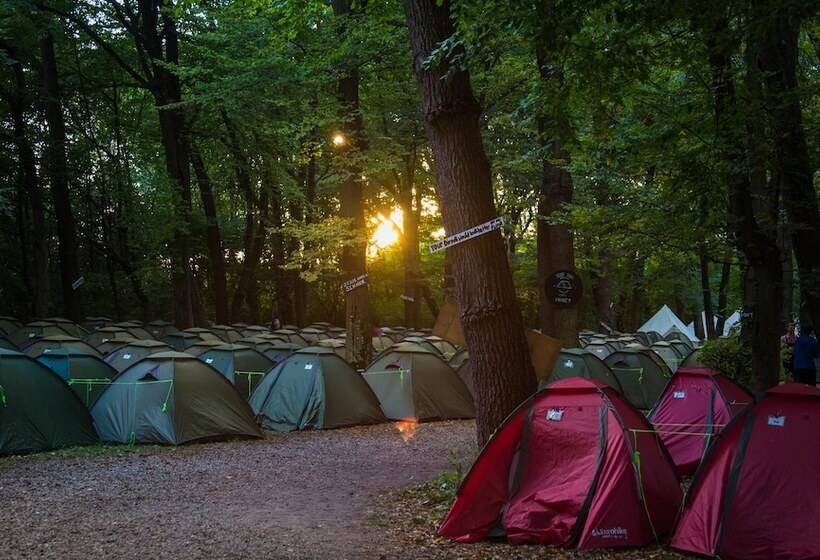 مبيت وإفطار Munich Central Camping