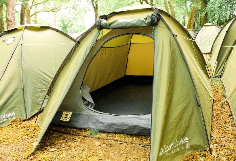 مبيت وإفطار Munich Central Camping