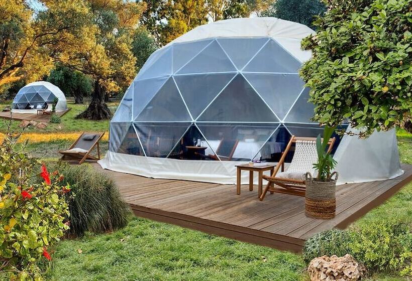 בית מלון כפרי Eco Dome Crete
