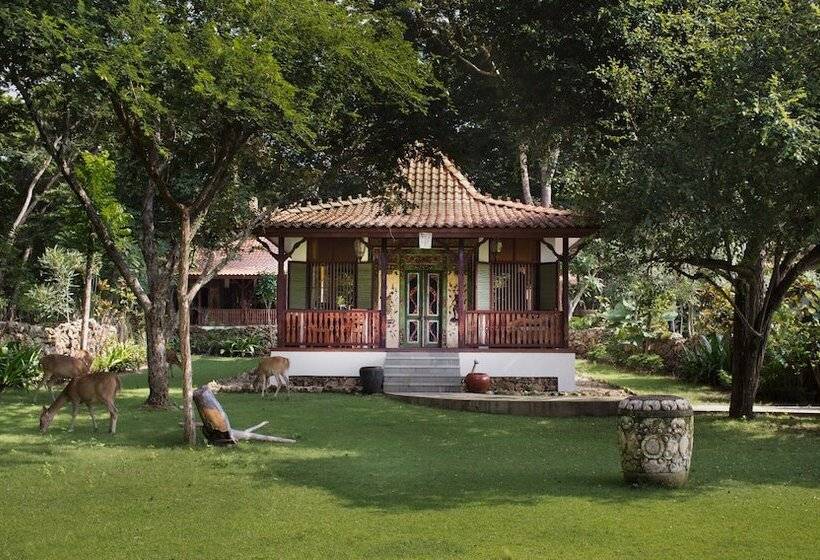 ホテル Plataran Menjangan Resort And Spa   Chse Certified