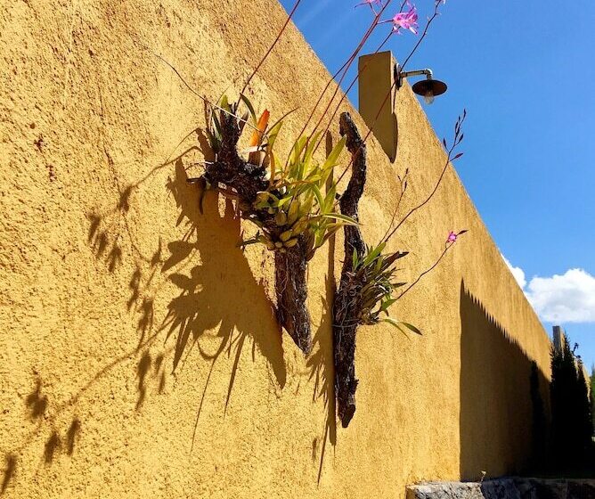 فندق Sandunga Cabañas Boutique