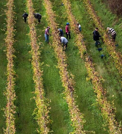 هتل Wine Resort Villagrande