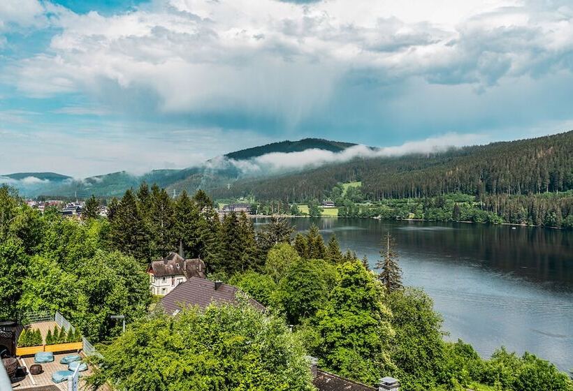 Nature Titisee