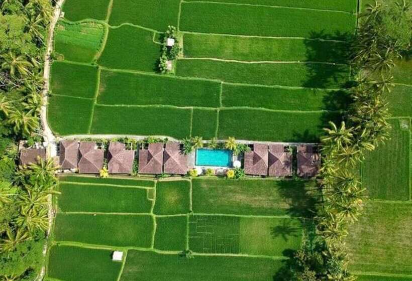 住宿加早餐  Intan Villa & Suite Ubud