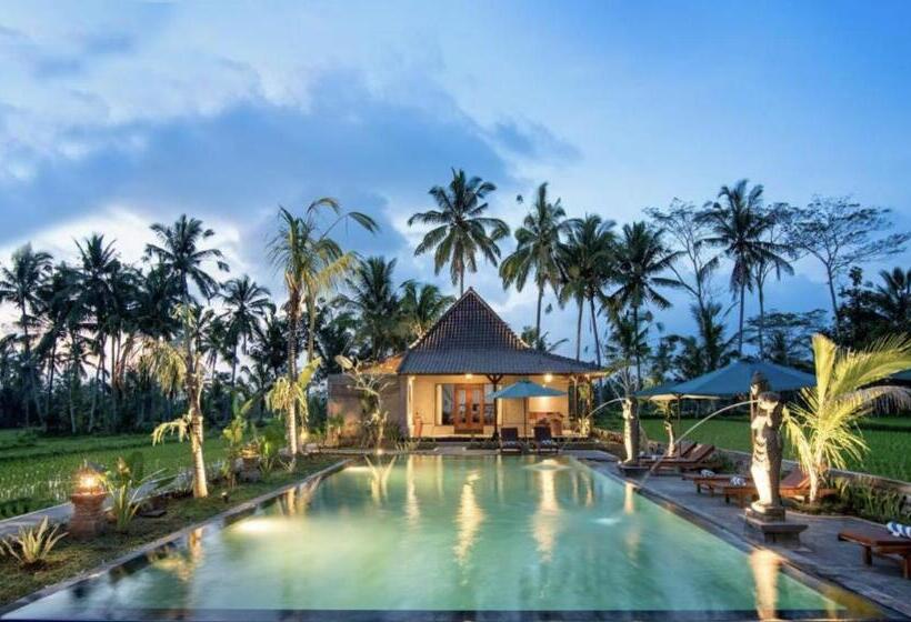 住宿加早餐  Intan Villa & Suite Ubud