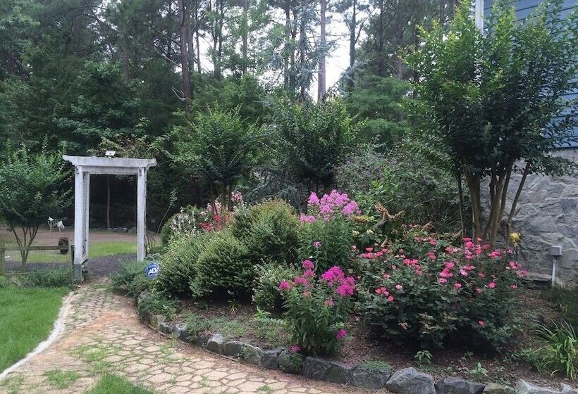 住宿加早餐  Swanendele Inn At St. Mary S Maryland
