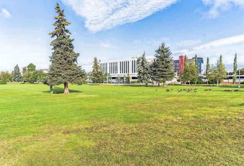 Highliner Hotel   Queen Suites