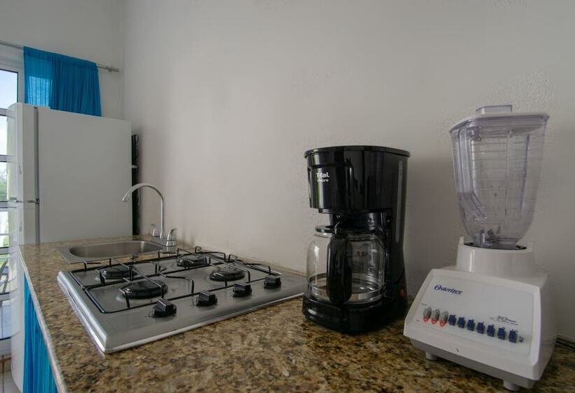 فندق Y Bungalows Bugambilias