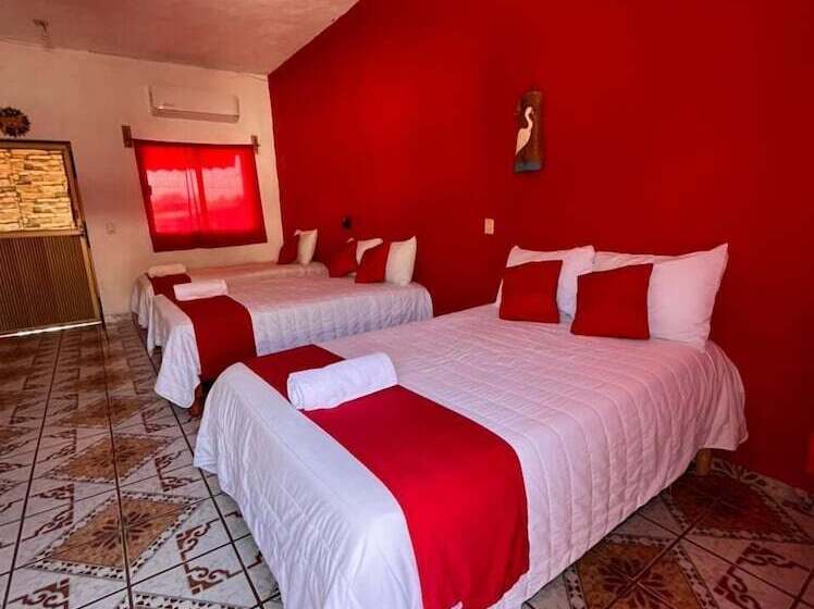 فندق Y Bungalows Bugambilias