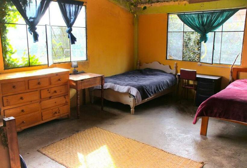 Общежитие El Terreno Community Hostal