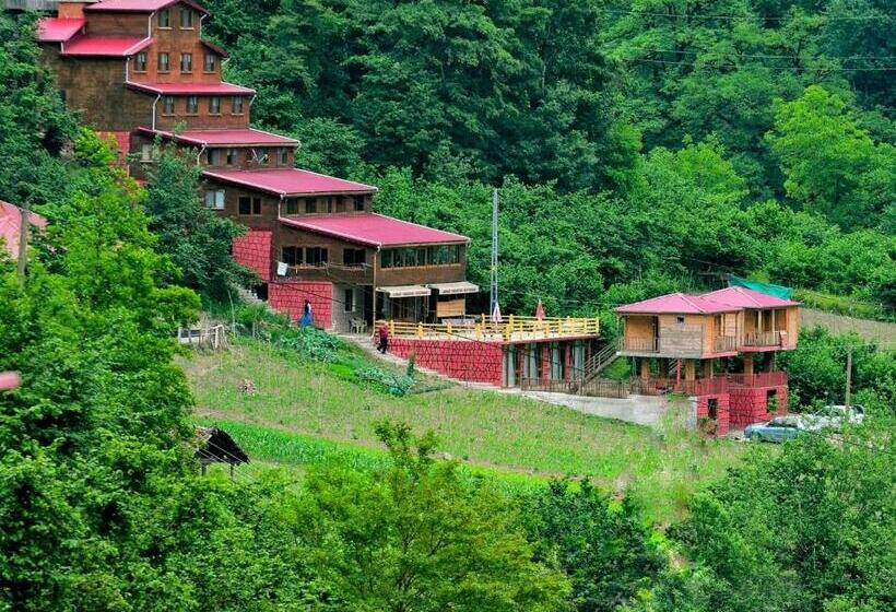 Gogalay Bungalov Hotel  Restoran