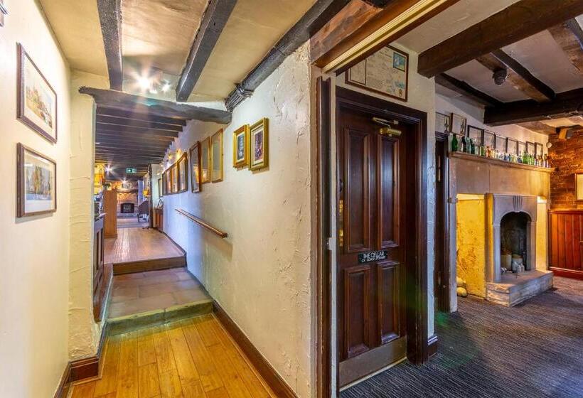 فندق فئة نجمة واحدة The Forest Lodge