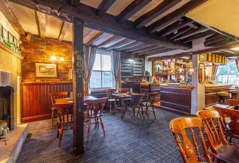 فندق فئة نجمة واحدة The Forest Lodge