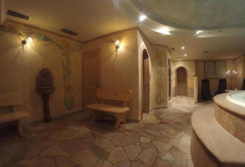 هتل Garni Arnica S