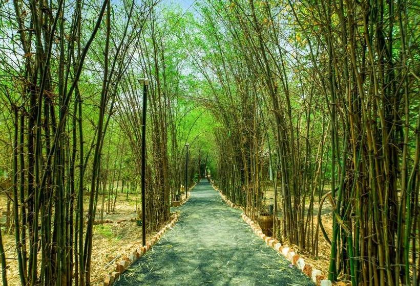 Lemon Tree Wildlife Resort, Bandhavgarh