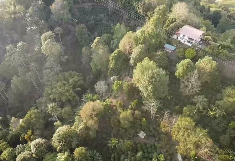 旅馆 Finca Momota Salento