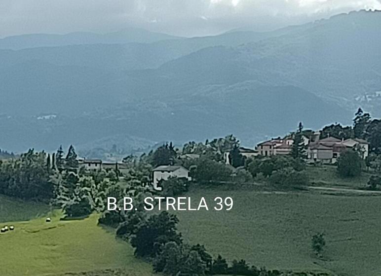 مبيت وإفطار Compiano Bb Strela 39