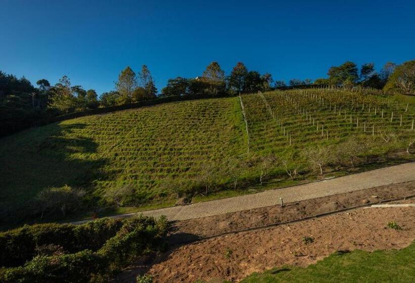 渡假胜地  Quinta Dos Manacás Pousada   Pedra Azul   Rota Dos Lagos