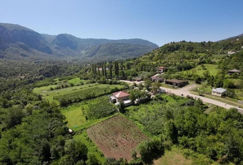 پانسیون Guest House Oasis   Tvishi