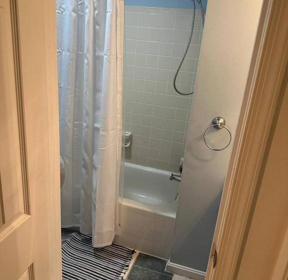 膳宿费 Room In House   The    Modern    Gem