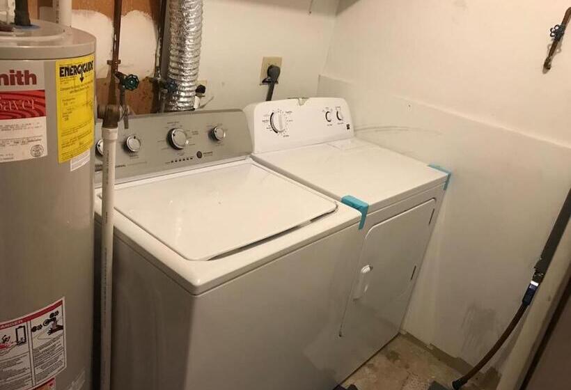 膳宿费 Room In House   The    Modern    Gem