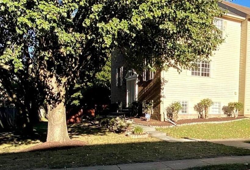 膳宿费 Room In House   The    Modern    Gem