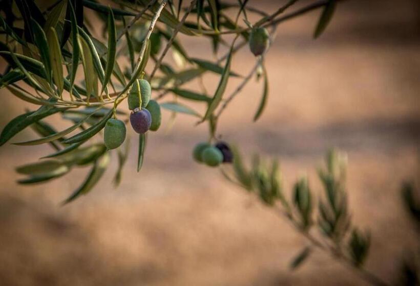 مبيت وإفطار Bb Casa Alegria