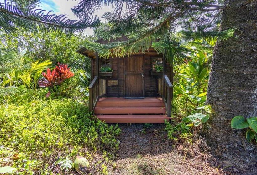 فندق Plumeria Room On A Lush Farm On Maui S North Shore