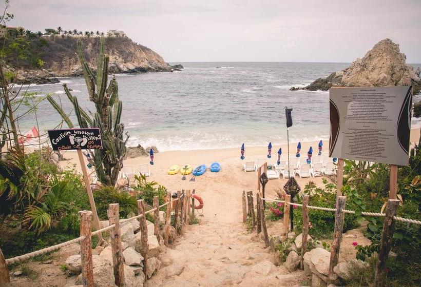 هتل Isla Natura Beach Huatulco