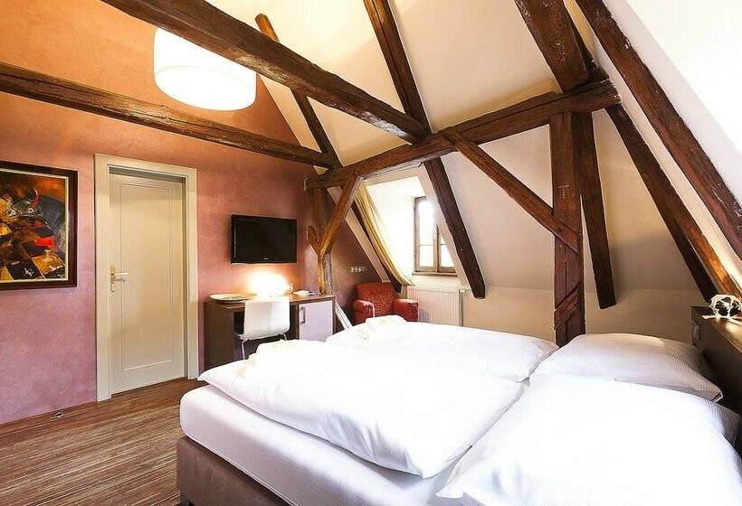 هتل Krčínův Dům