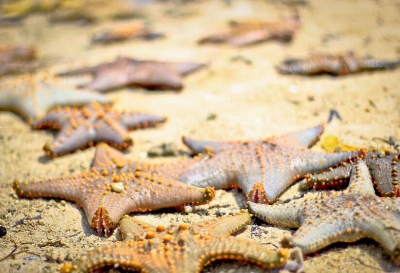 فندق Samaki Lodge