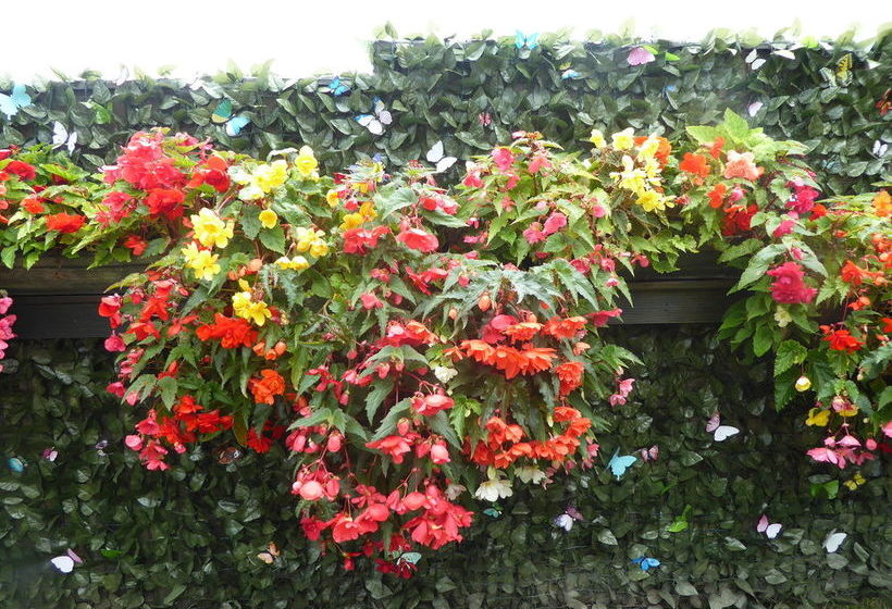 Sunnyfield B&b