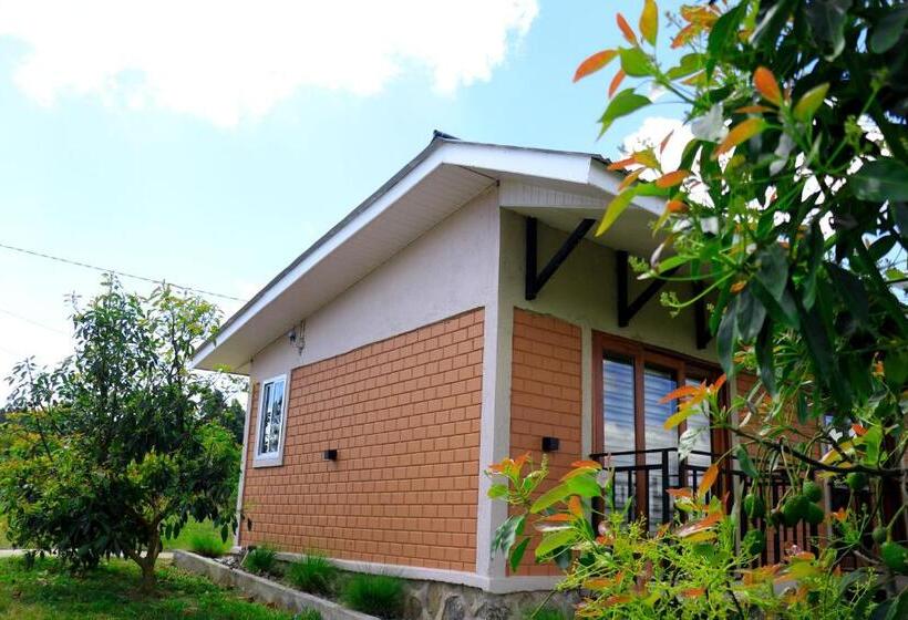 בית מלון כפרי Kalongo Farm Ecosystem Homes