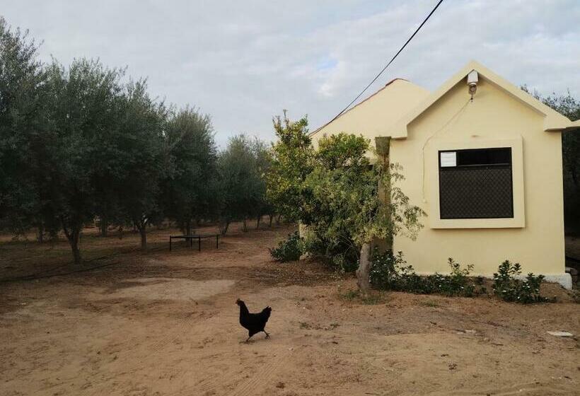 Пансион Thar Olive Cottages Pilani