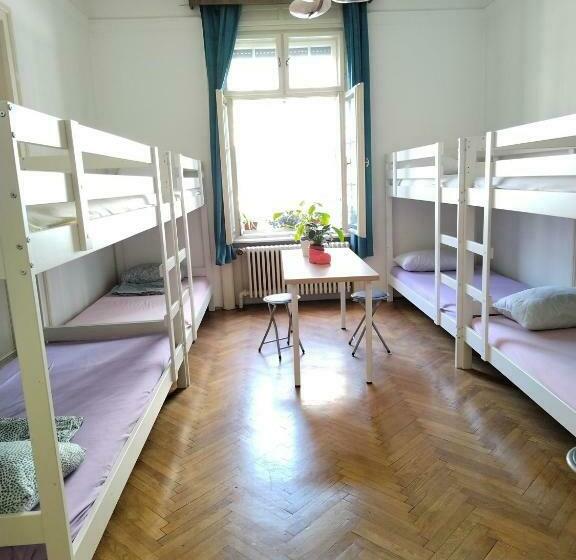 هاستل Monica S House