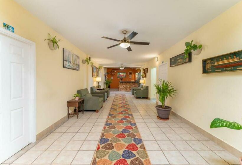 فندق El Faro Loreto