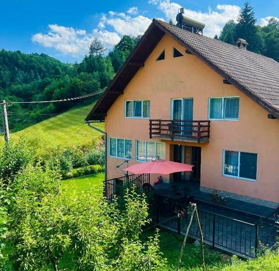 Пансион Casa Anca și Nicușor