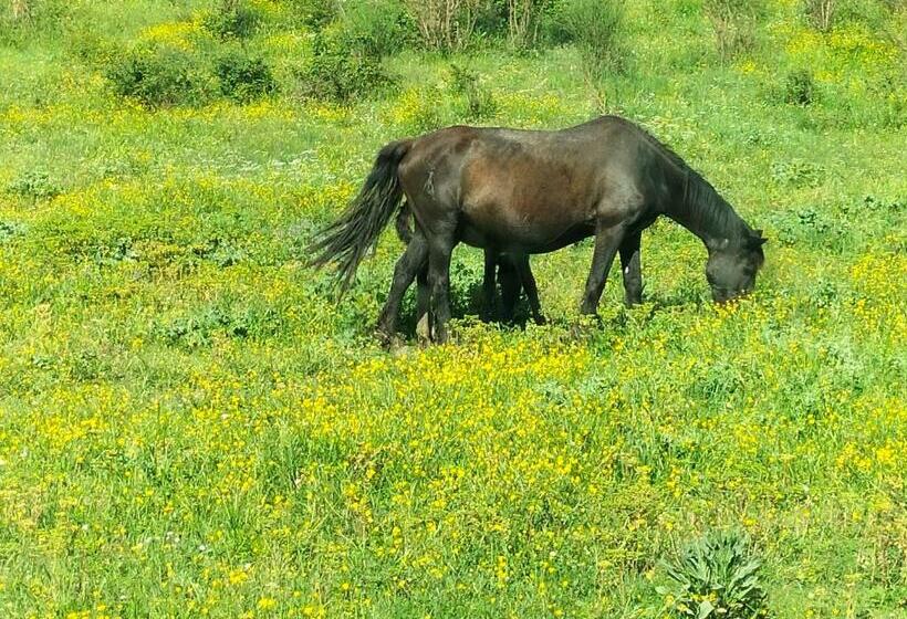 Отель Agriturismo I Tre Tigli