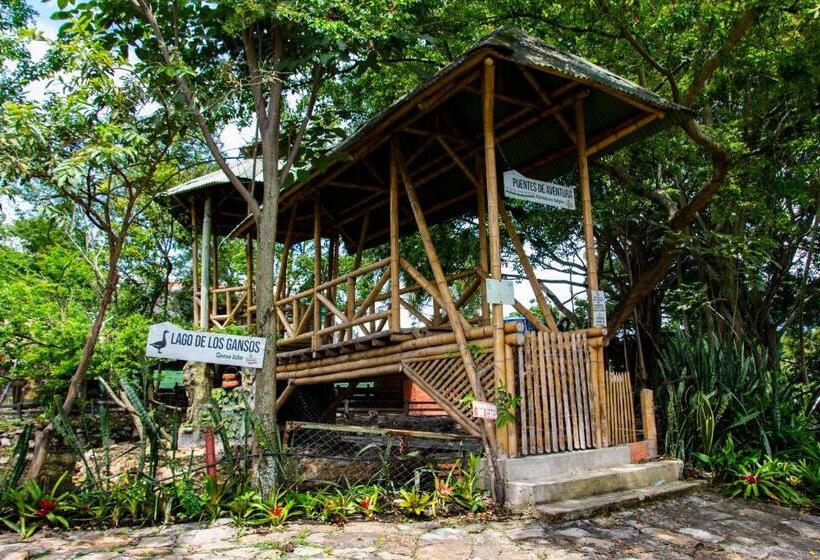 فندق Casa Del árbol, Romántico, Piscina, En Chinauta, El Mejor Clima